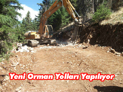 Orman yolları hız kesmiyor