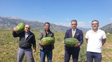 Başkanı Kısa, Karpuz Ekili Alanlarda İncelemelerde Bulundu