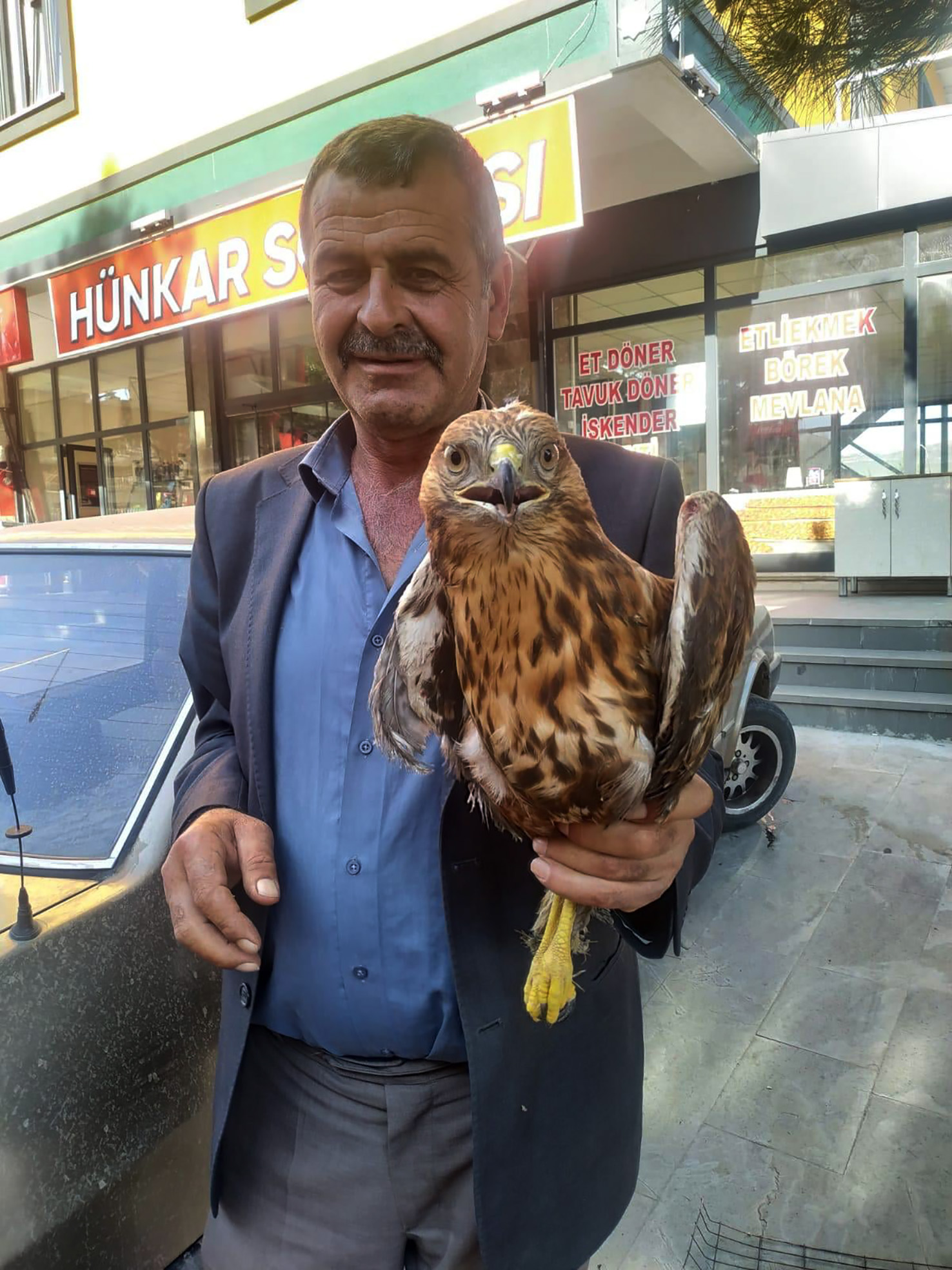 Yaralı Bulunan Kızıl Şahin Tedaviye Alındı