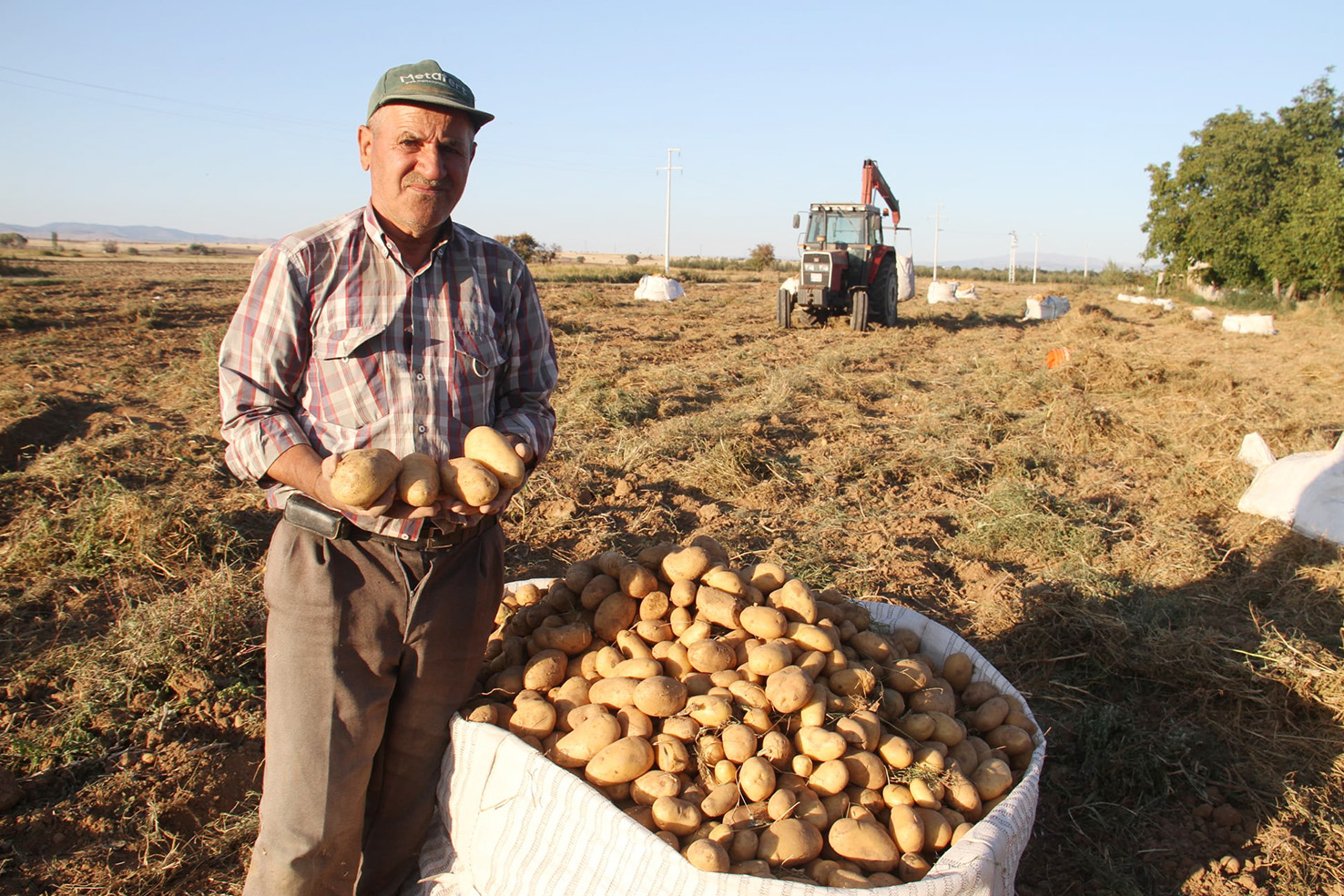 Beyşehir’de Cipslik patatesin ürün hasatı başladı